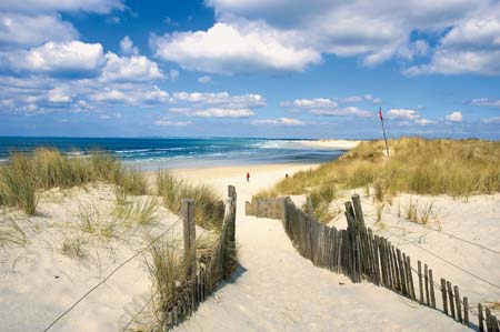 Le Domaine des Pins Países del Loira - Saint-Hilaire-de-Riez visuel 9/11