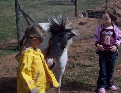 Le Hameau des Genêts Mediodía-Pirineos - Montlaur visuel 6/10 Le Hameau des Genêts Mediodía-Pirineos - Montlaur visuel 6/10