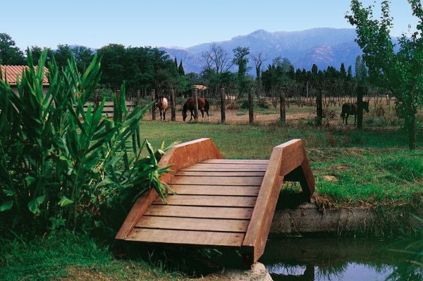 Le Haras Languedoc-Rosellón - Palau-del-Vidre visuel 4/10 Le Haras Languedoc-Rosellón - Palau-del-Vidre visuel 4/10