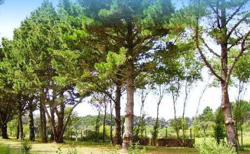 Le Kernest Bretaña - Bangor visuel 6/10