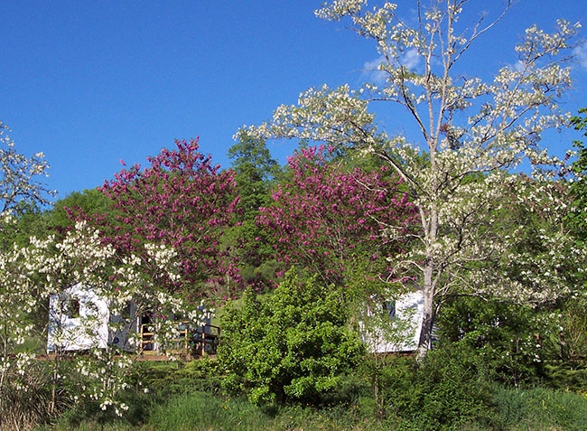 Le Lac Mediodía-Pirineos - Marciac visuel 6/8