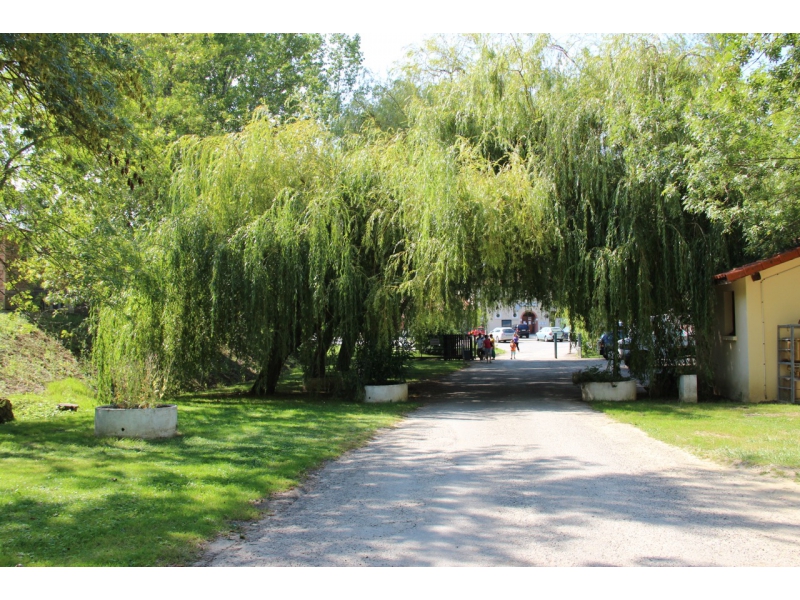 Le Lac de la Thesauque Mediodía-Pirineos - Montgeard visuel 3/4 Le Lac de la Thesauque Mediodía-Pirineos - Montgeard visuel 3/4