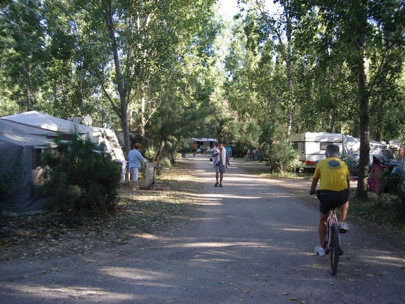 Le Lamparo Languedoc-Rosellón - Sainte Marie la Mer visuel 6/10