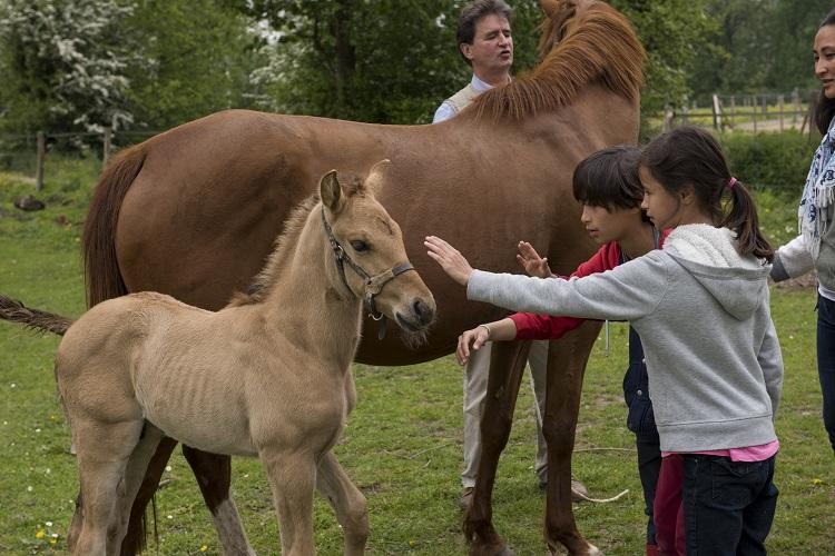 Le Lieu Dieu Picardía - Beauchamps visuel 7/8 Le Lieu Dieu Picardía - Beauchamps visuel 7/8