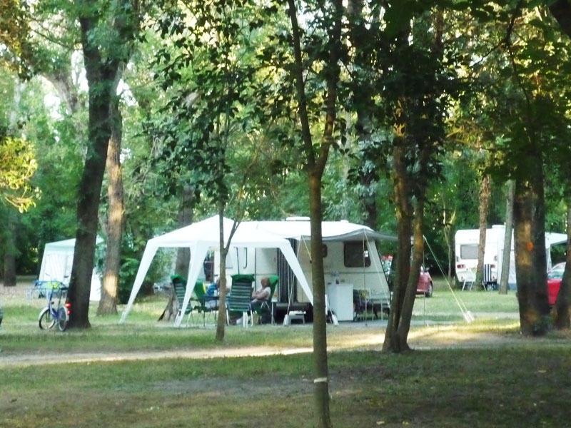 Le Lion Ródano-Alpes - Bourg-Saint-Andéol visuel 4/11