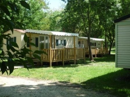 Le Lion Ródano-Alpes - Bourg-Saint-Andéol visuel 5/11