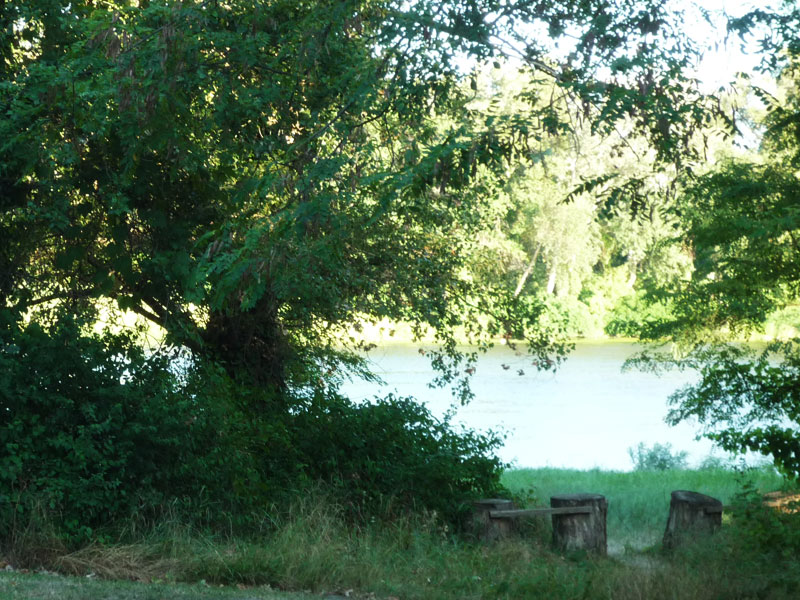 Le Lion Ródano-Alpes - Bourg-Saint-Andéol visuel 6/11