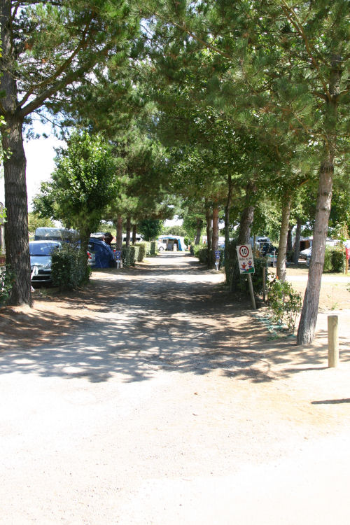 Le Littoral Países del Loira - Brem sur Mer visuel 7/10 Le Littoral Países del Loira - Brem sur Mer visuel 7/10