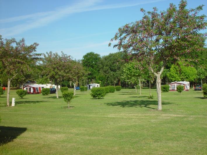Le Logis du Breuil Poitou-Charentes - Saint-Augustin visuel 6/10 Le Logis du Breuil Poitou-Charentes - Saint-Augustin visuel 6/10