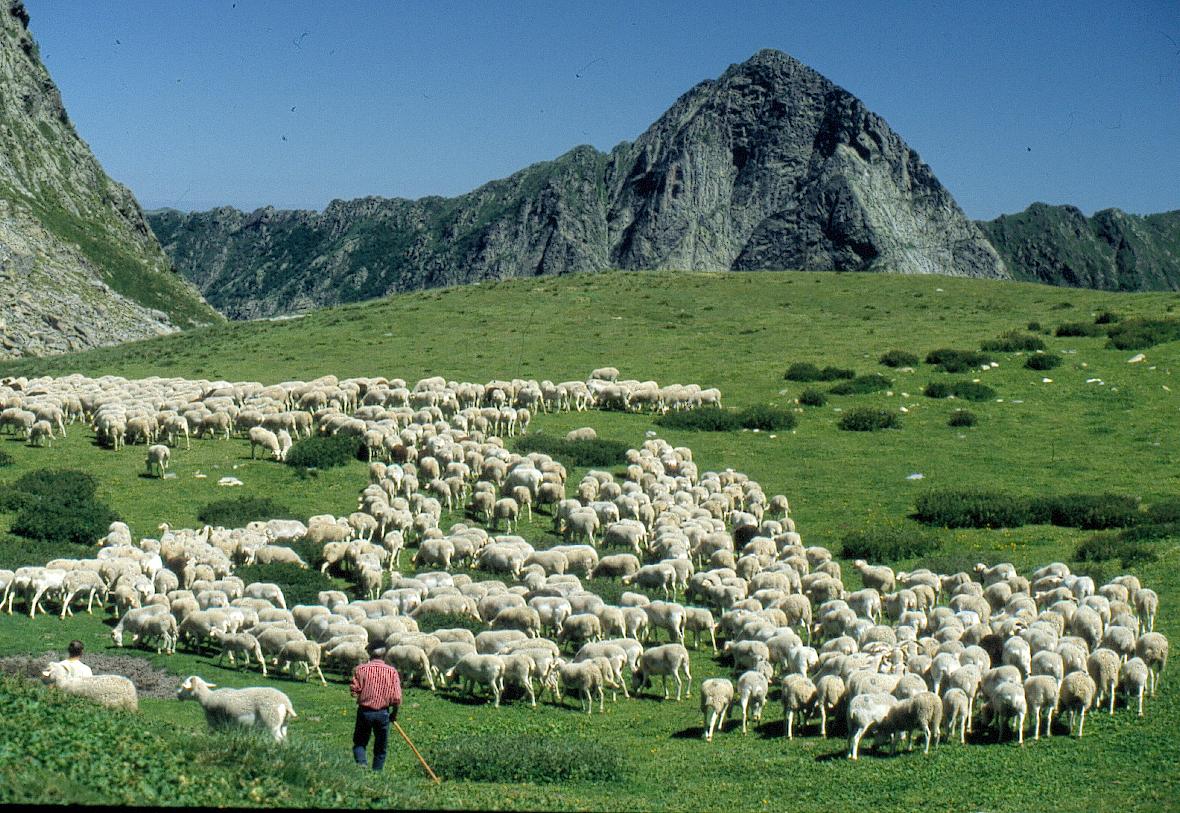 Le Malazéou Mediodía-Pirineos - Ax-les-Thermes visuel 12/16 Le Malazéou Mediodía-Pirineos - Ax-les-Thermes visuel 12/16