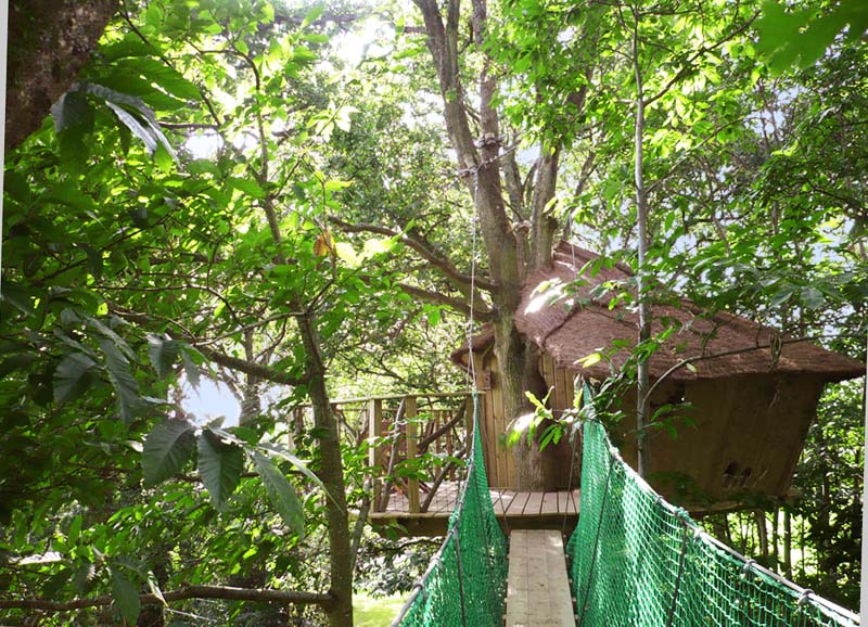 Le Manoir de l'Alleu Bretaña - La Chapelle-Chaussée visuel 2/10 Le Manoir de l'Alleu Bretaña - La Chapelle-Chaussée visuel 2/10