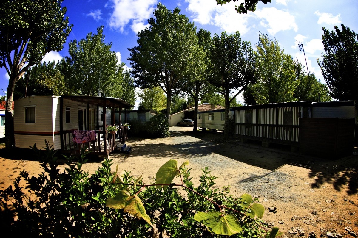 Le Marais Neuf Países del Loira - La Barre-de-Monts visuel 4/8 Le Marais Neuf Países del Loira - La Barre-de-Monts visuel 4/8