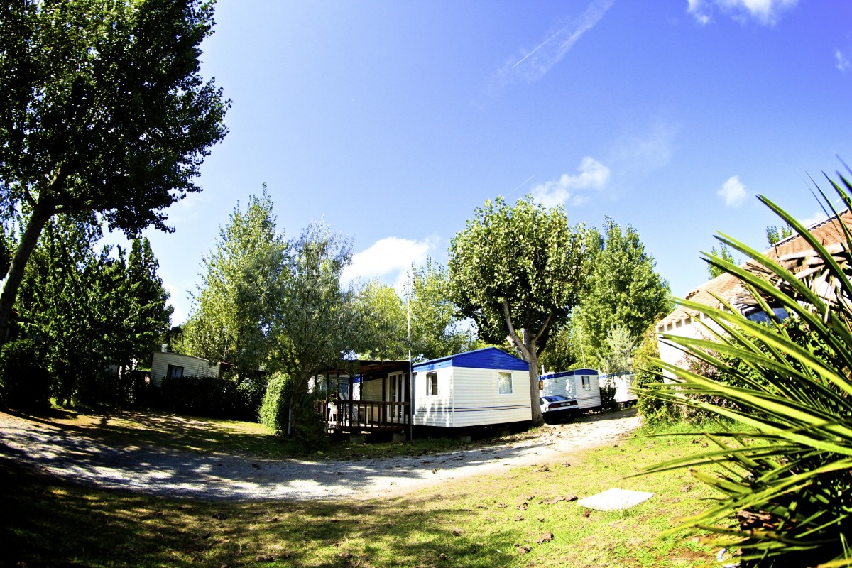 Le Marais Neuf Países del Loira - La Barre-de-Monts visuel 5/8 Le Marais Neuf Países del Loira - La Barre-de-Monts visuel 5/8