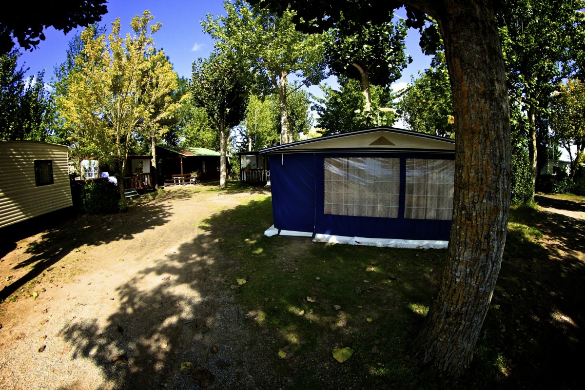 Le Marais Neuf Países del Loira - La Barre-de-Monts visuel 6/8 Le Marais Neuf Países del Loira - La Barre-de-Monts visuel 6/8