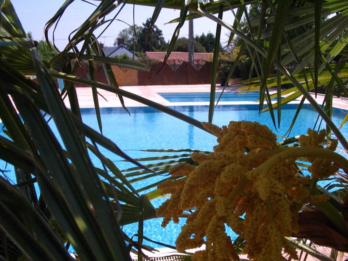 Le Marais Neuf Países del Loira - La Barre-de-Monts visuel 8/8 Le Marais Neuf Países del Loira - La Barre-de-Monts visuel 8/8
