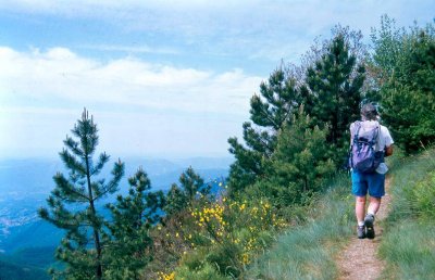 Le Martinet Languedoc-Rosellón - Saint-Étienne-Vallée-Française visuel 6/10 Le Martinet Languedoc-Rosellón - Saint-Étienne-Vallée-Française visuel 6/10