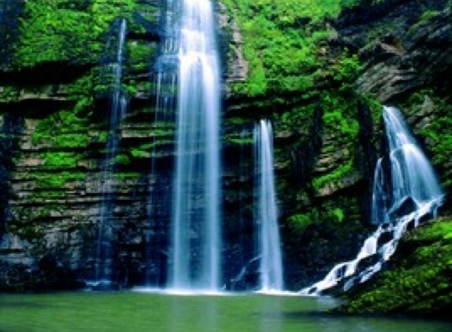 Le Martinet Franco Condado - Villard-Saint-Sauveur visuel 7/11 Le Martinet Franco Condado - Villard-Saint-Sauveur visuel 7/11