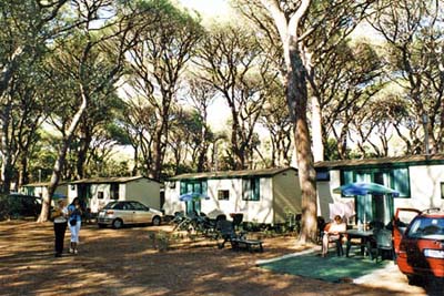 Le Marze Toscana - Marina di Grosseto visuel 12/17 Le Marze Toscana - Marina di Grosseto visuel 12/17