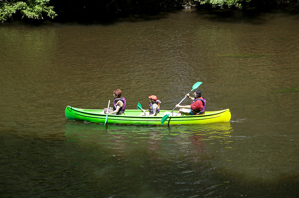 Le Mas Aquitania - Les Eyzies de Tayac Sireuil visuel 7/13