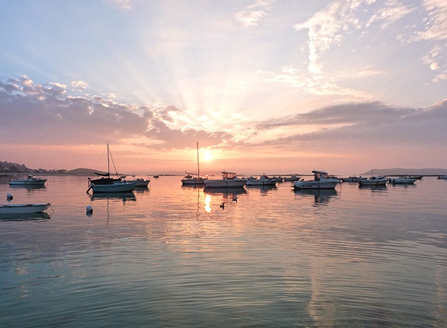 Le Mat Bretaña - Trévou-Tréguignec visuel 7/11
