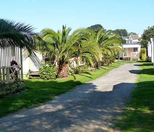 Le Mat Bretaña - Trévou-Tréguignec visuel 8/11