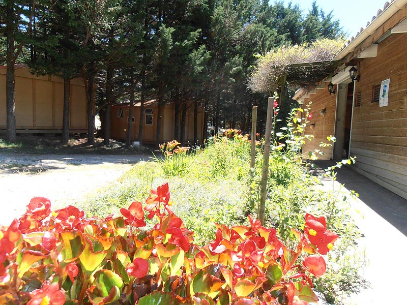 Le Matin Calme Ródano-Alpes - Vesc visuel 6/11