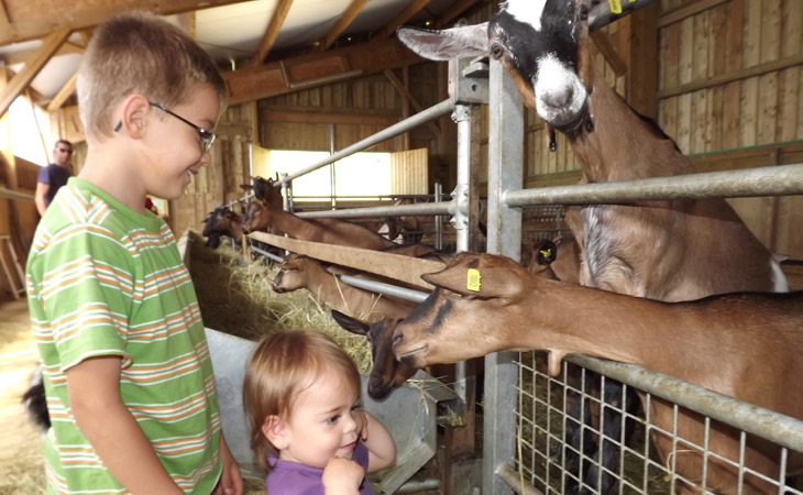 Le Matin Calme Ródano-Alpes - Vesc visuel 10/11