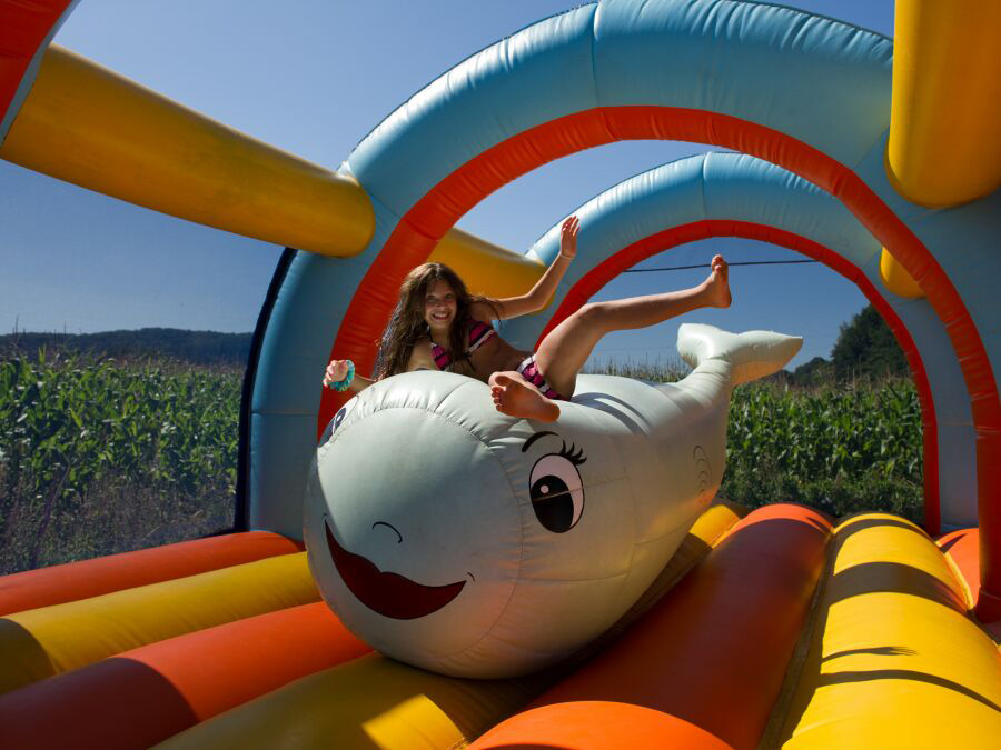 Le Monlôo Mediodía-Pirineos - Bagnères-de-Bigorre visuel 9/10