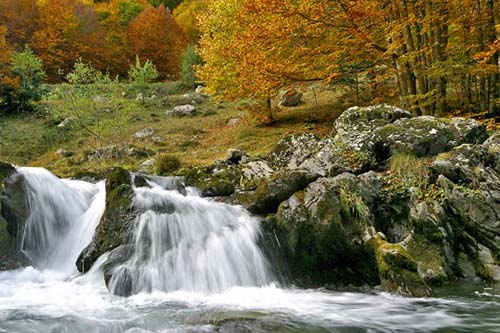 Le Moulin Mediodía-Pirineos - Martres-Tolosane visuel 8/10 Le Moulin Mediodía-Pirineos - Martres-Tolosane visuel 8/10