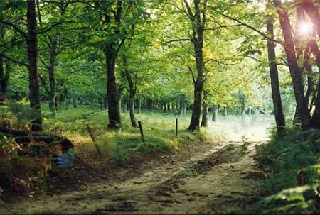 Le Moulin de la Prade Aquitania - Prats-du-Périgord visuel 2/7 Le Moulin de la Prade Aquitania - Prats-du-Périgord visuel 2/7