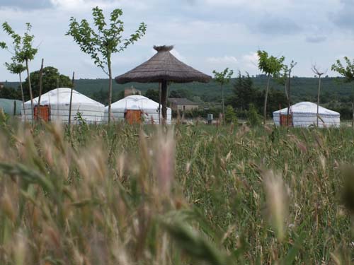 Le Moulin d'Espagne Provenza-Alpes-Costa Azul - Ginasservis visuel 3/9