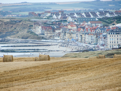 Le Napoleon Norte-Paso de Calais - Wimereux visuel 1/1