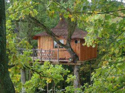Le Nid dans l'Arbre Picardía - Pierrefonds visuel 5/10 Le Nid dans l'Arbre Picardía - Pierrefonds visuel 5/10