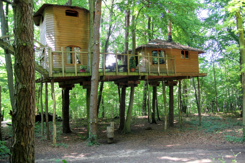 Le Nid dans l'Arbre Picardía - Pierrefonds visuel 8/10 Le Nid dans l'Arbre Picardía - Pierrefonds visuel 8/10