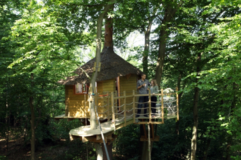 Le Nid dans l'Arbre Picardía - Pierrefonds visuel 9/10 Le Nid dans l'Arbre Picardía - Pierrefonds visuel 9/10