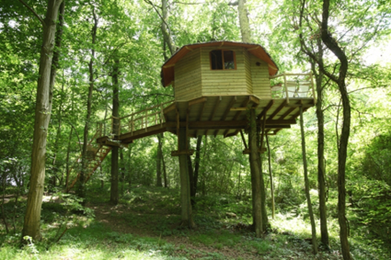 Le Nid dans l'Arbre Picardía - Pierrefonds visuel 10/10 Le Nid dans l'Arbre Picardía - Pierrefonds visuel 10/10