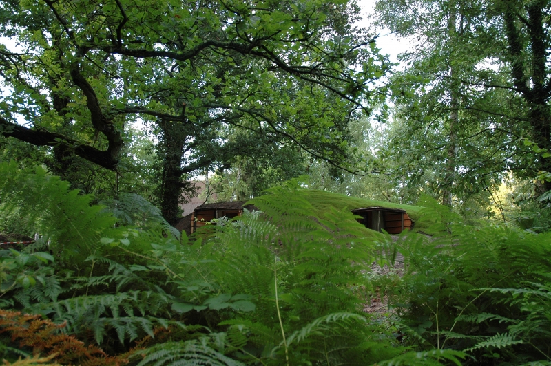 Le Nid dans les Bruyères Picardía - Fère-en-Tardenois visuel 2/10 Le Nid dans les Bruyères Picardía - Fère-en-Tardenois visuel 2/10