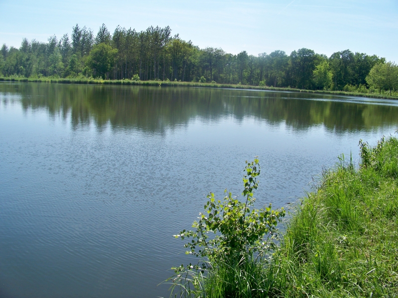 Le Nid dans les Bruyères Picardía - Fère-en-Tardenois visuel 4/10 Le Nid dans les Bruyères Picardía - Fère-en-Tardenois visuel 4/10