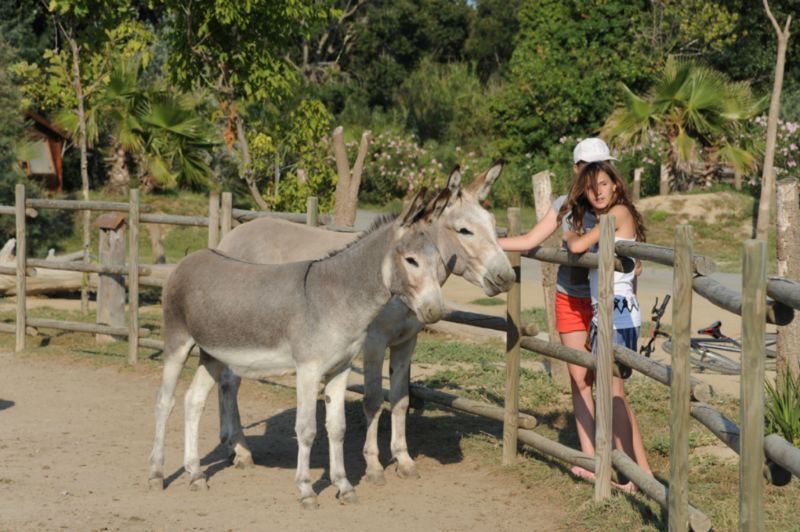 Le Palais de la Mer Languedoc-Rosellón - Sainte Marie la Mer visuel 5/6