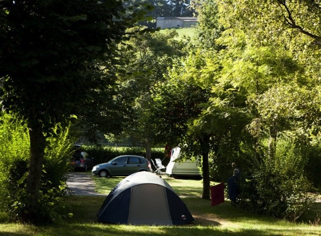 Le Paluet Bourgogne - Matour visuel 5/9