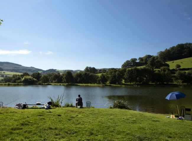 Le Paluet Bourgogne - Matour visuel 7/9