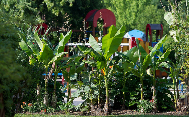 Le Paradis Aquitania - Saint-Léon-sur-Vézère visuel 2/9
