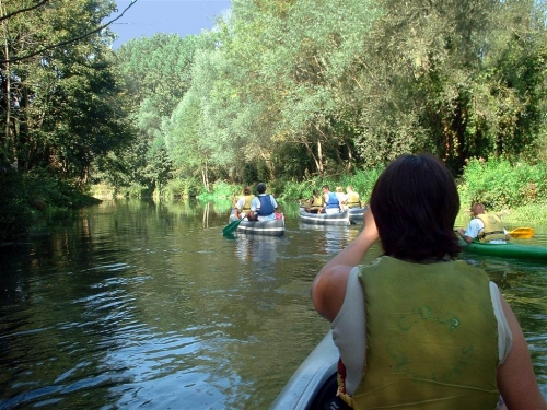 Le Parc des Cygnes Picardía - Amiens visuel 2/5 Le Parc des Cygnes Picardía - Amiens visuel 2/5