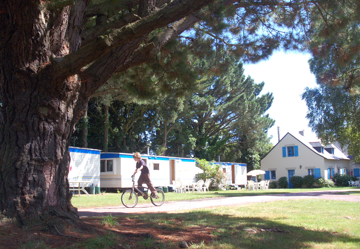 Le Parc Sainte-Brigitte Países del Loira - La Turballe visuel 2/10 Le Parc Sainte-Brigitte Países del Loira - La Turballe visuel 2/10