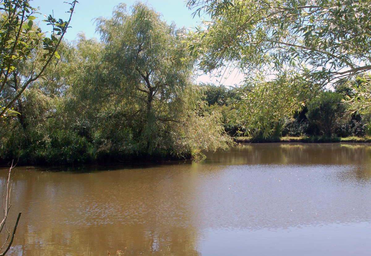 Le Parc Sainte-Brigitte Países del Loira - La Turballe visuel 6/10 Le Parc Sainte-Brigitte Países del Loira - La Turballe visuel 6/10