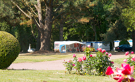 Le Parc Sainte-Brigitte Países del Loira - La Turballe visuel 7/10 Le Parc Sainte-Brigitte Países del Loira - La Turballe visuel 7/10
