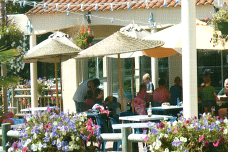 Le Pas Opton Países del Loira - Le Fenouiller visuel 1/1 Le Pas Opton Países del Loira - Le Fenouiller visuel 1/1