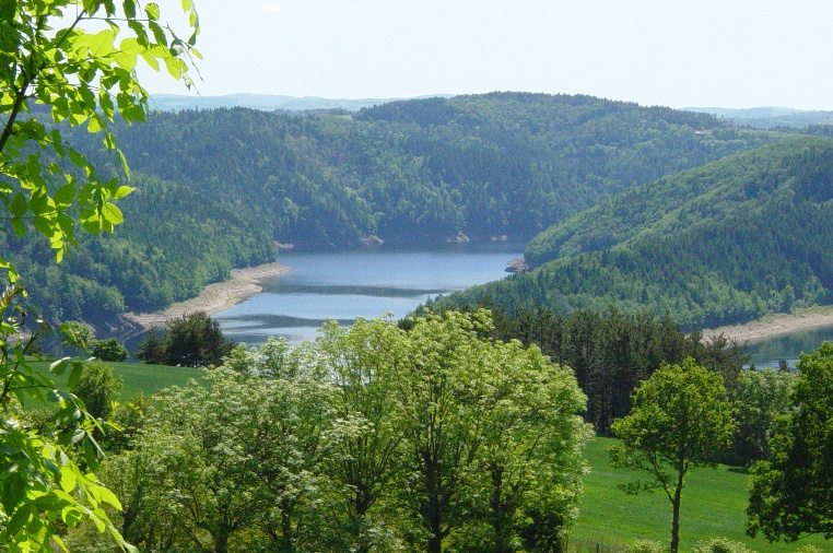 Le Petit Bois Auvernia - Ruynes en Margeride visuel 2/10 Le Petit Bois Auvernia - Ruynes en Margeride visuel 2/10