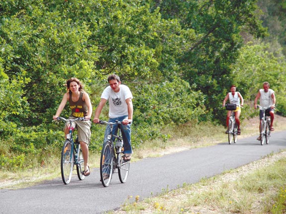 Le Petit Bois Auvernia - Ruynes en Margeride visuel 7/10 Le Petit Bois Auvernia - Ruynes en Margeride visuel 7/10