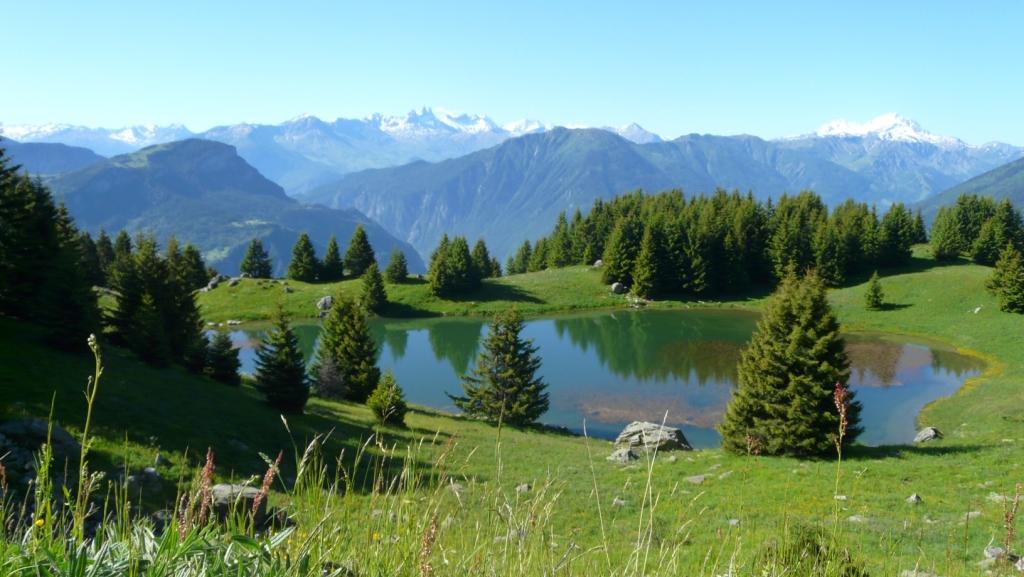 Le Petit Nice Ródano-Alpes - Saint-Martin-sur-la-Chambre visuel 1/1 Le Petit Nice Ródano-Alpes - Saint-Martin-sur-la-Chambre visuel 1/1